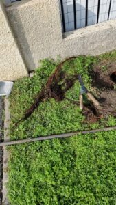 Hydrocurage de canalisations EU