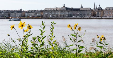 Découvrez nos prestations de plomberie et assainissement à Bordeaux