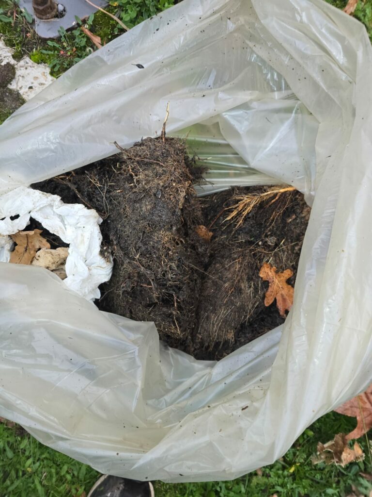 nettoyage canalisations suite à des racine nettoyage canalisations suite a des racine