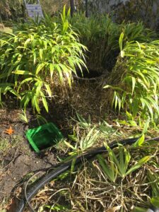 station pompe de relevage