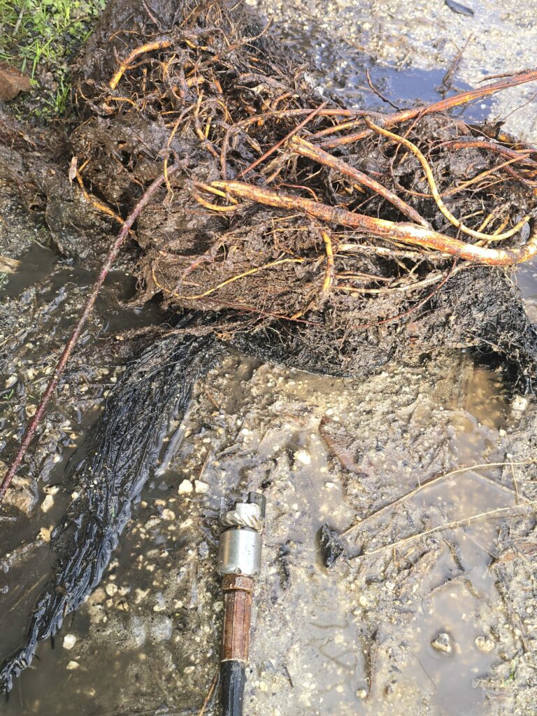 racines bouchés la canalisation racines bouchés la canalisation