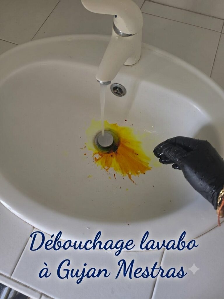 Débouchage lavabo à Gujan Mestras Débouchage lavabo à Gujan Mestras