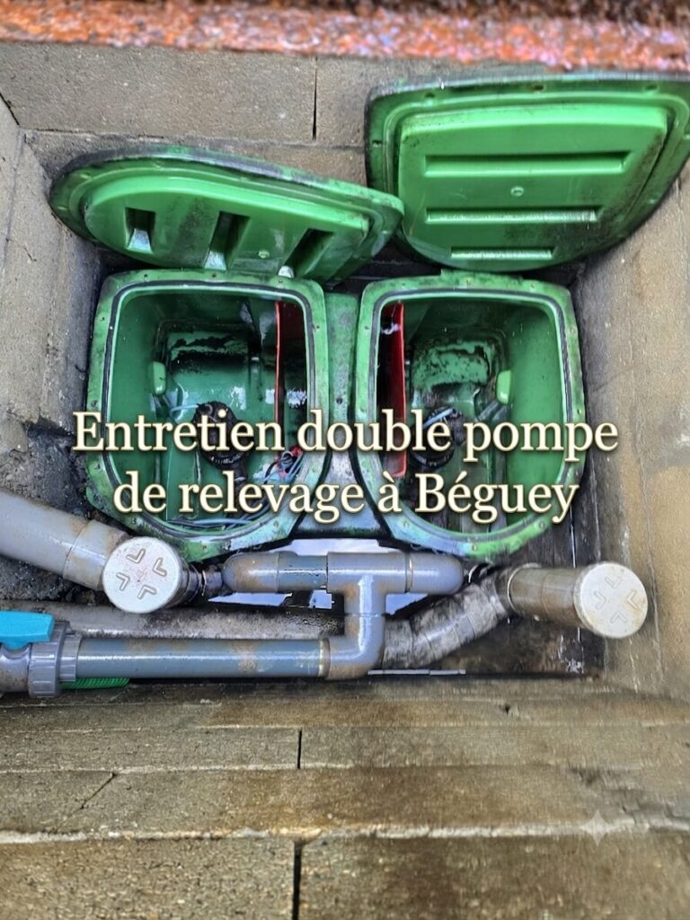 Entretien double pompe de relevage à Béguey Entretien double pompe de relevage à Béguey
