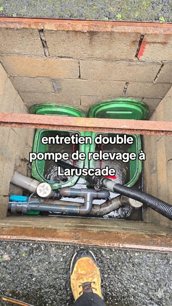 Entretien double pompe de relevage à Laruscade Entretien double pompe de relevage à Laruscade