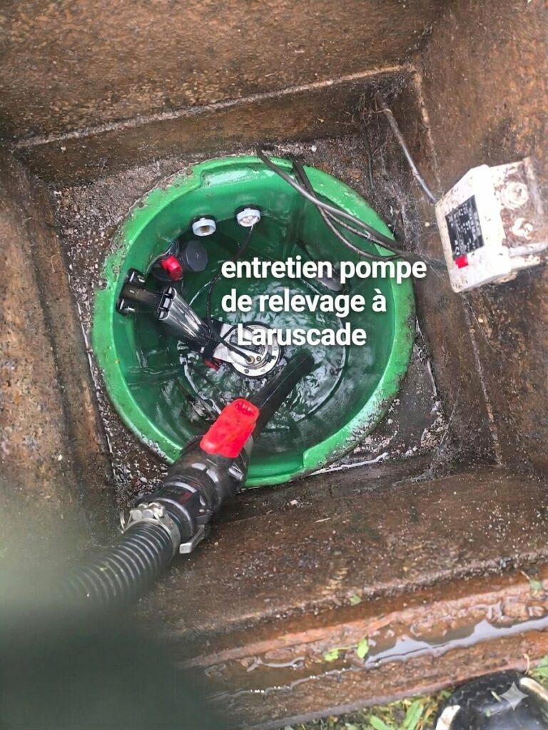 Entretien pompe de relevage à Laruscade (2) Entretien pompe de relevage à Laruscade
